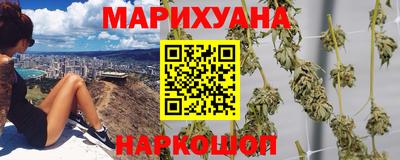 крисы Малгобек