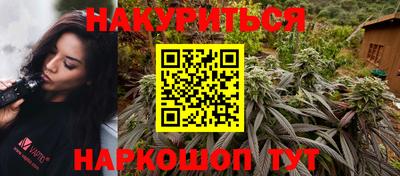 крисы Малгобек