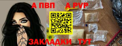 крисы Малгобек