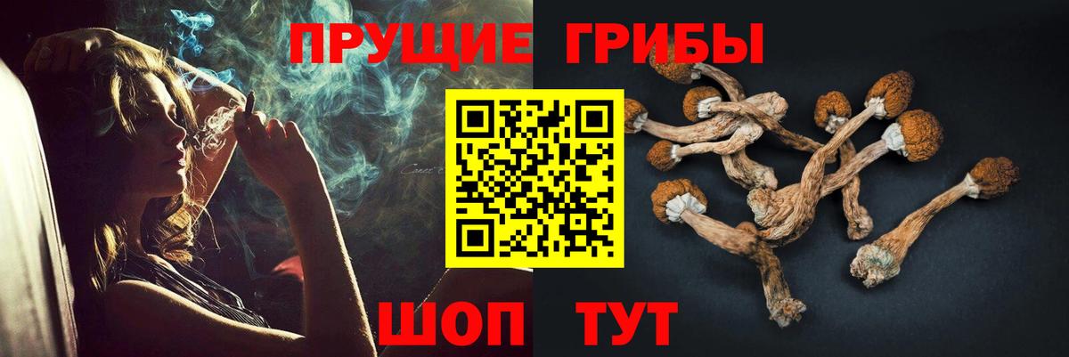 Псилоцибиновые грибы Psilocybe Феодосия